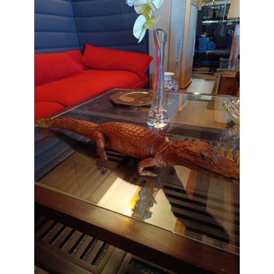 Alligator empaillés – Image 2