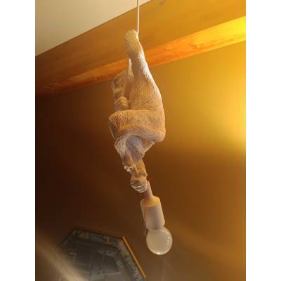 Suspension singe – Image 2