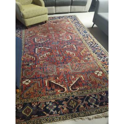 IMG 20251115 162129 scaled