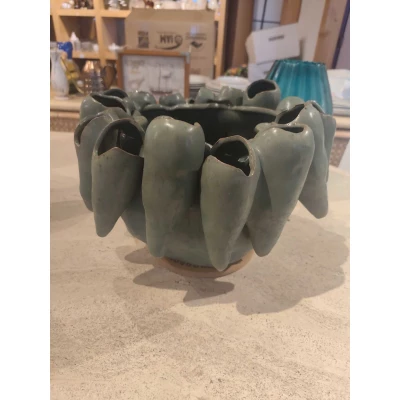 IMG 20251120 155539 scaled