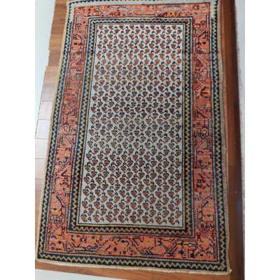 IMG 20260206 114124 scaled